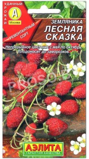 Земляника Лесная сказка