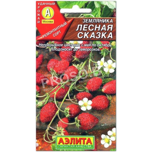 Земляника Лесная сказка