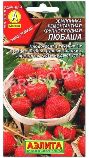 Земляника (клубника) Любаша