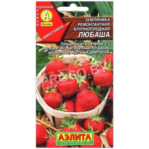 Земляника (клубника) Любаша