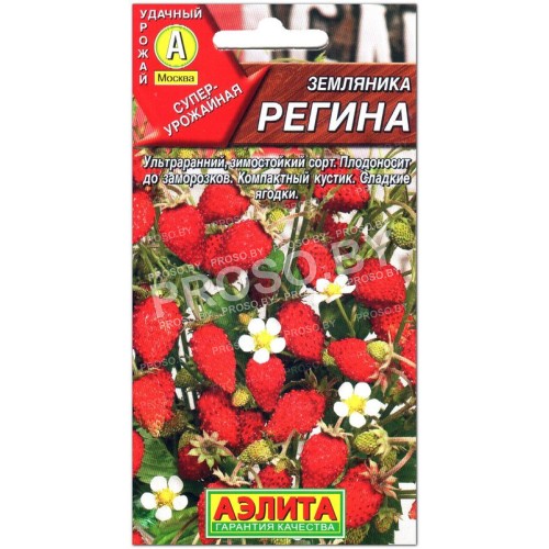 Земляника Регина
