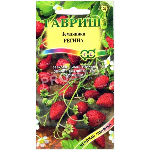 Земляника Регина-1