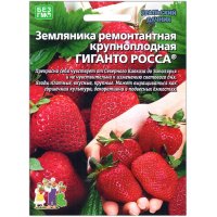 Земляника ремонтантая Гиганто росса