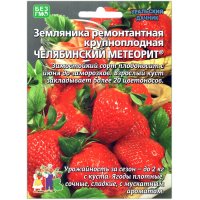Купить семена Земляника Александрина в Минске и почтой по Беларуси