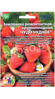 Земляника ремонтантная Чудо чудное