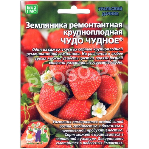 Земляника ремонтантная Чудо чудное