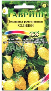 Земляника ремонтантная Холидей