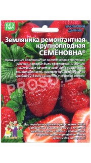 Земляника ремонтантная крупноплодная Семеновна