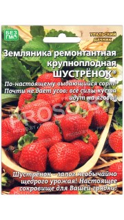 Земляника ремонтантная крупноплодная Шустренок