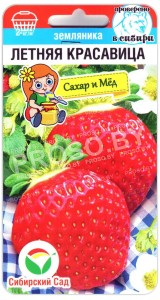 Земляника ремонтантная Летняя красавица