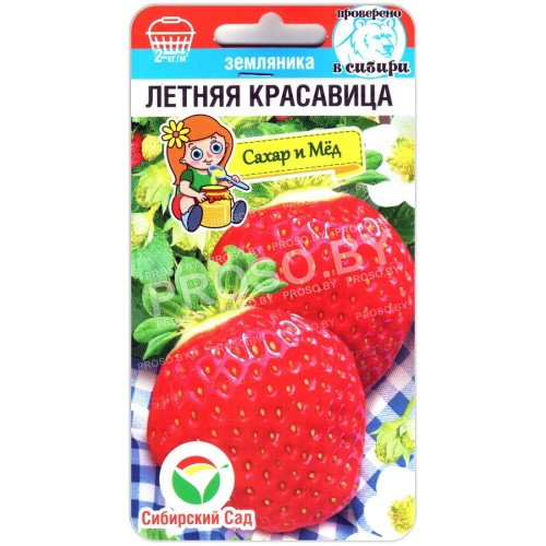 Земляника ремонтантная Летняя красавица