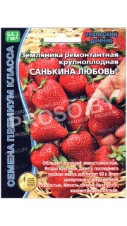 Земляника ремонтантная Санькина любовь