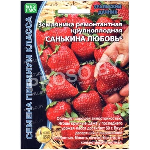Земляника ремонтантная Санькина любовь