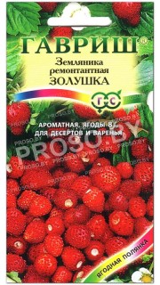 Земляника ремонтантная Золушка