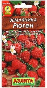 Земляника Рюген