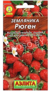 Земляника Рюген