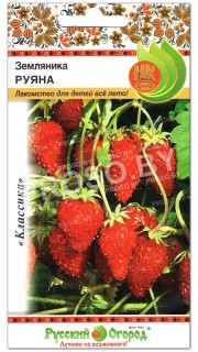 Земляника Руяна
