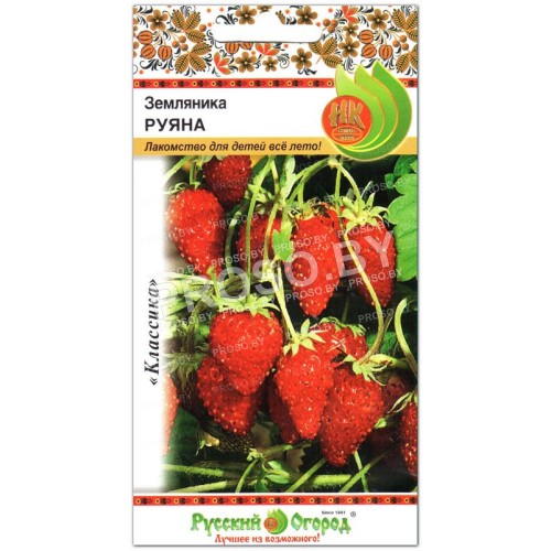 Земляника Руяна