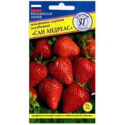 Земляника садовая (клубника) Сан Андреас