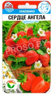 Земляника Сердце ангела