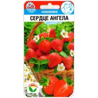 Земляника Сердце ангела