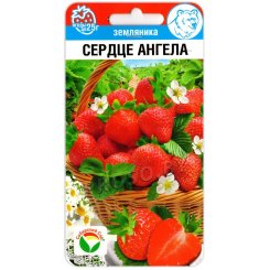 Земляника Сердце ангела