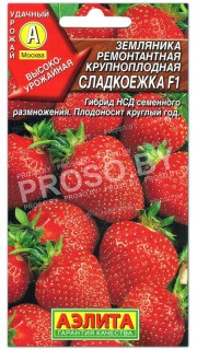 Земляника (клубника) Сладкоежка F1