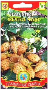 Земляника Желтое чудо