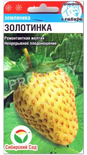 Земляника Золотинка