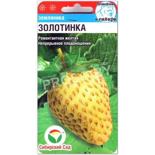 Земляника Золотинка