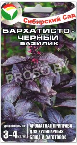 Базилик Бархатисто-черный