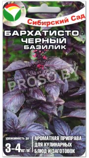 Базилик Бархатисто-черный