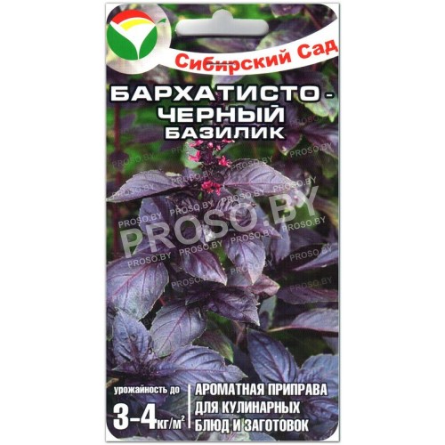 Базилик Бархатисто-черный