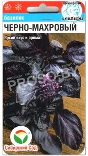 Базилик Черно-махровый