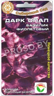 Базилик фиолетовый Дарк опал
