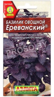Базилик Ереванский