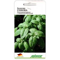 Базилик Генова