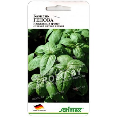 Базилик Генова