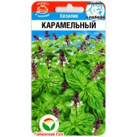 Базилик Карамельный