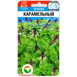 Базилик Карамельный