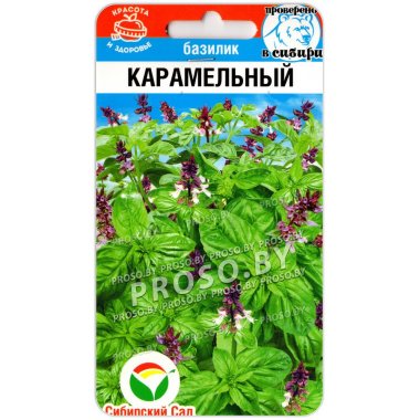 Базилик Карамельный