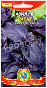 Базилик овощной Арарат