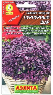 Базилик овощной Пурпурный шар