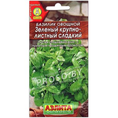 Базилик овощной Зеленый крупнолистный сладкий