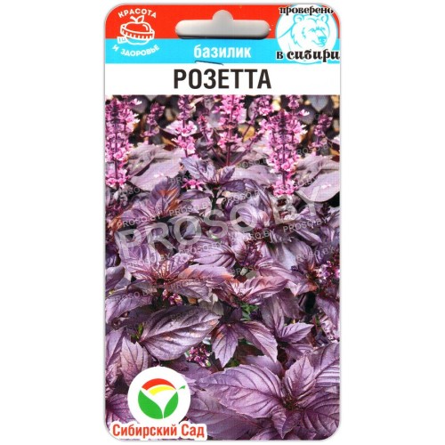 Базилик Розетта