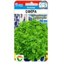 Базилик Сфера