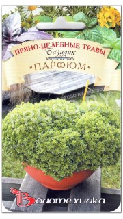Базилик шаровидный Парфюм