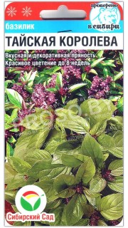 Базилик Тайская Королева