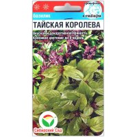 Базилик Тайская Королева