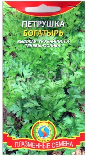 Петрушка Богатырь